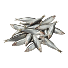 Frozen Sprat - 1kg